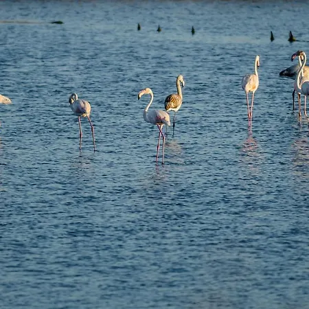 House Bay Figueira da Foz